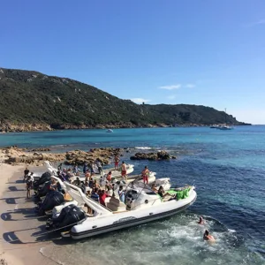 Bateaux semi-rigides accostés sur une crique corse, avec des participants en pleine activité nautique dans une eau turquoise, entourée de collines verdoyantes.